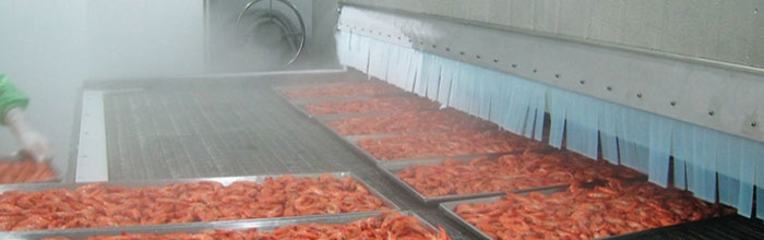 1745912544157660.jpg 14440323C-0.jpg